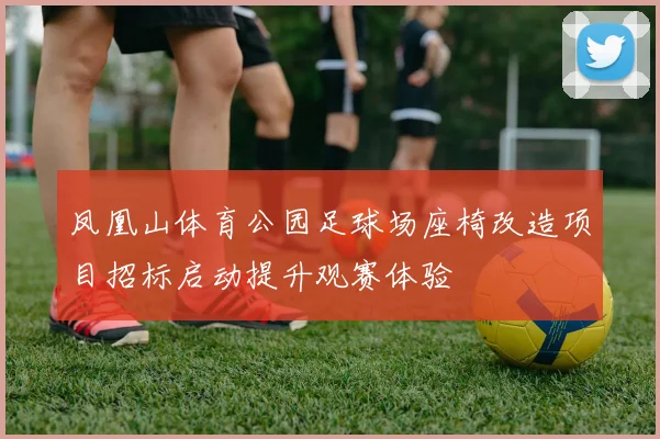 凤凰山体育公园足球场座椅改造项目招标启动提升观赛体验
